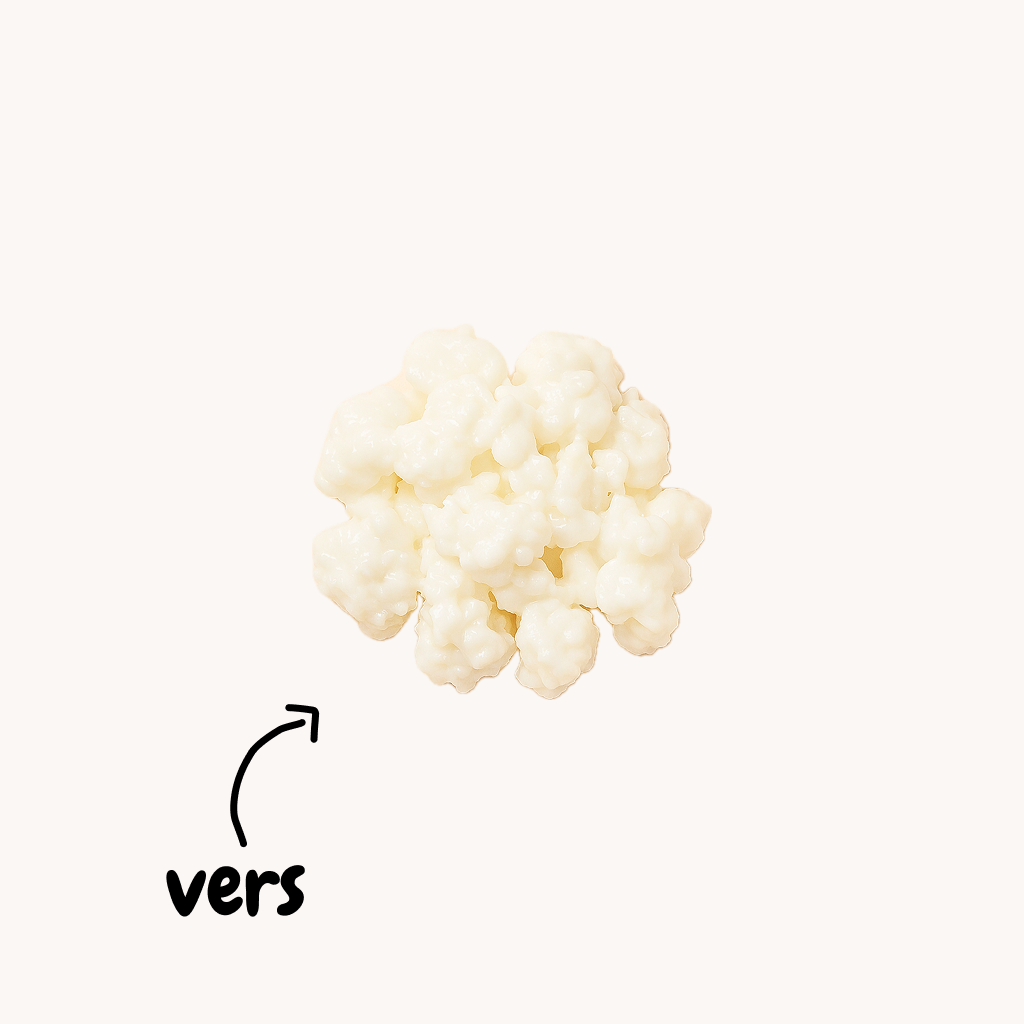 Verse melkkefirkorrels